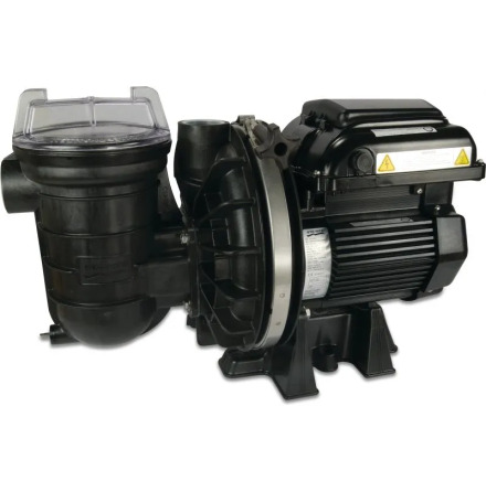 Sta-Rite Poolpump 1 1/2" invndig gnga 230VAC type P-STR-VS2m
