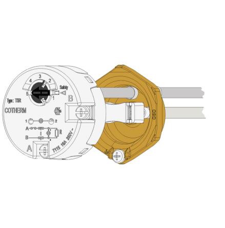 OSO ELPATRON 11/4" 2KW/1X230V TILL WALLSMART