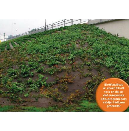 Bioweed ogr�sduk